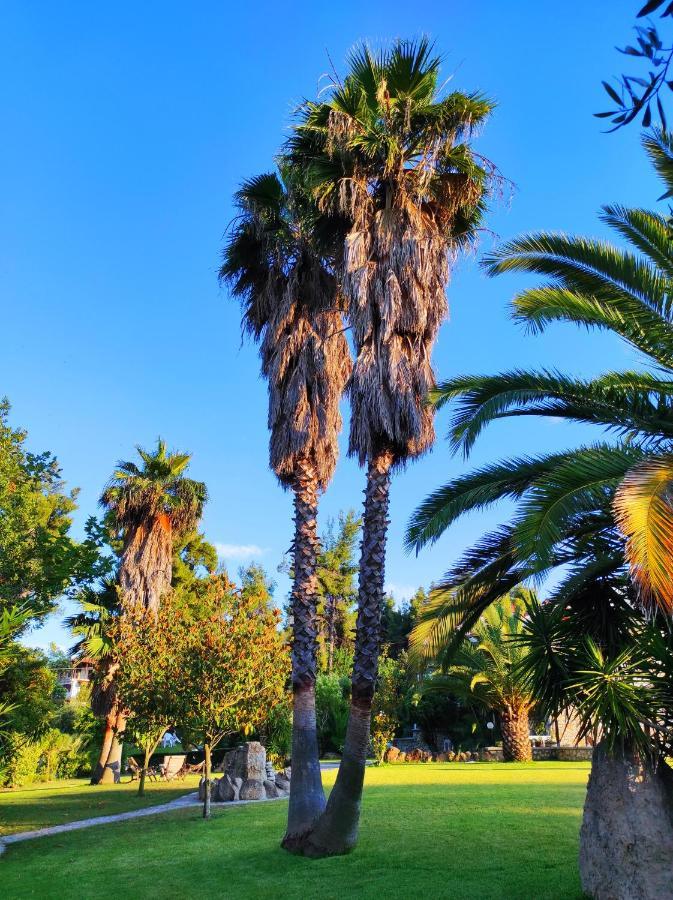 Chrouso Apartments Paliouri Esterno foto