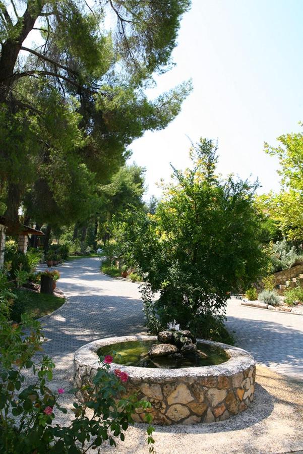 Chrouso Apartments Paliouri Esterno foto